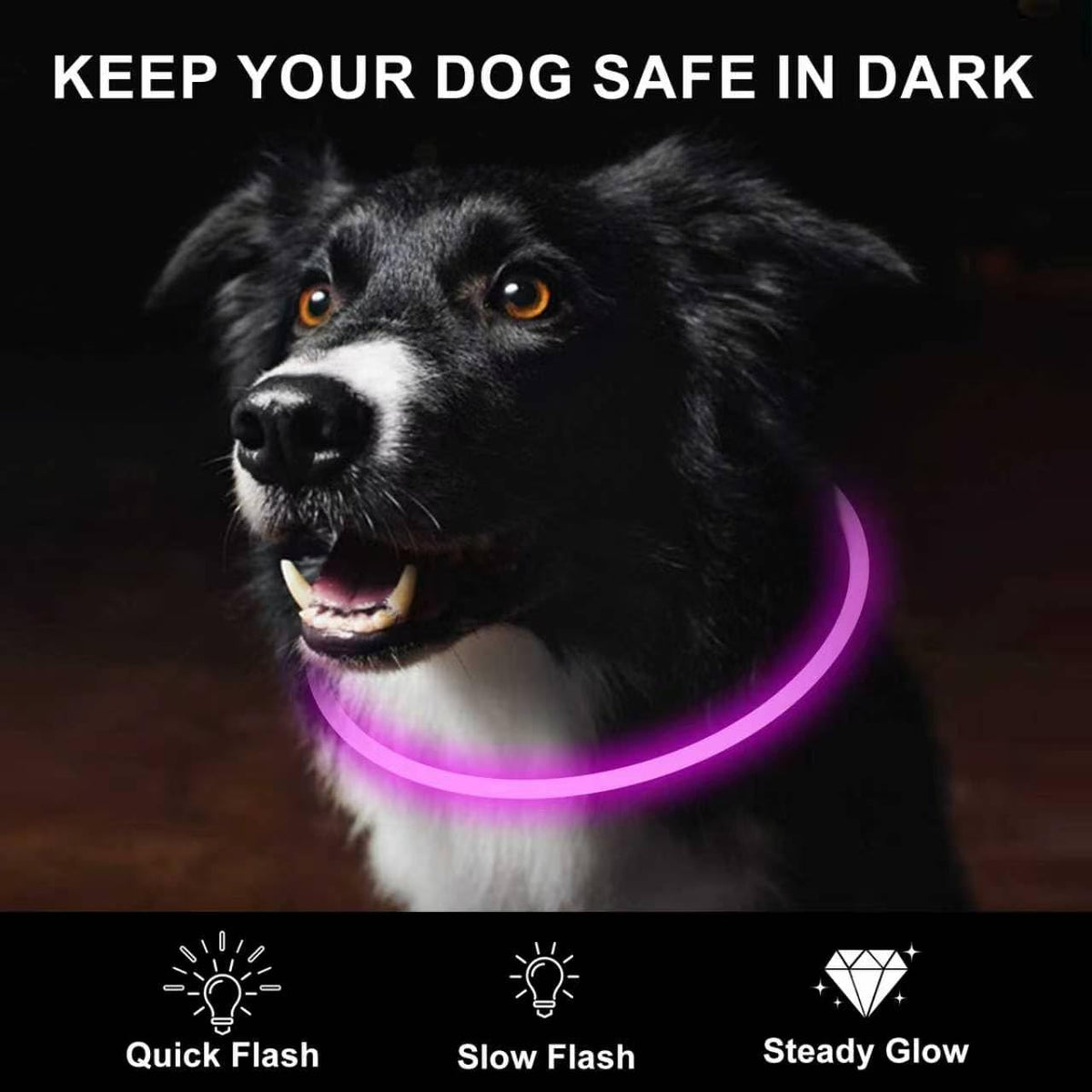 2-Pack LED Dog Collar, Light up Dog Collars,Rechargeable Dog Lights for Night Walking，Universal, Reusable Safety Necklace for Small Medium Large Dogs Red&Pink