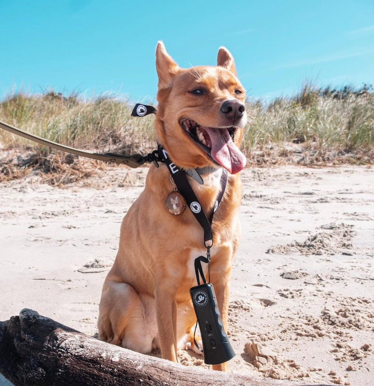Ultrasonic Dog Bark Deterrent & Behavior Corrector - Stop Barking, Jumping, Aggression without Yelling -Just Point & Press! Backed by Kevin Harrington from Shark Tank ( Classic)