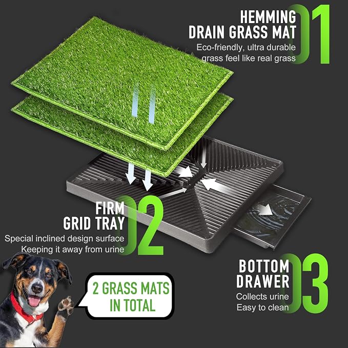 Ultimate Dog Potty Solution: Large 30